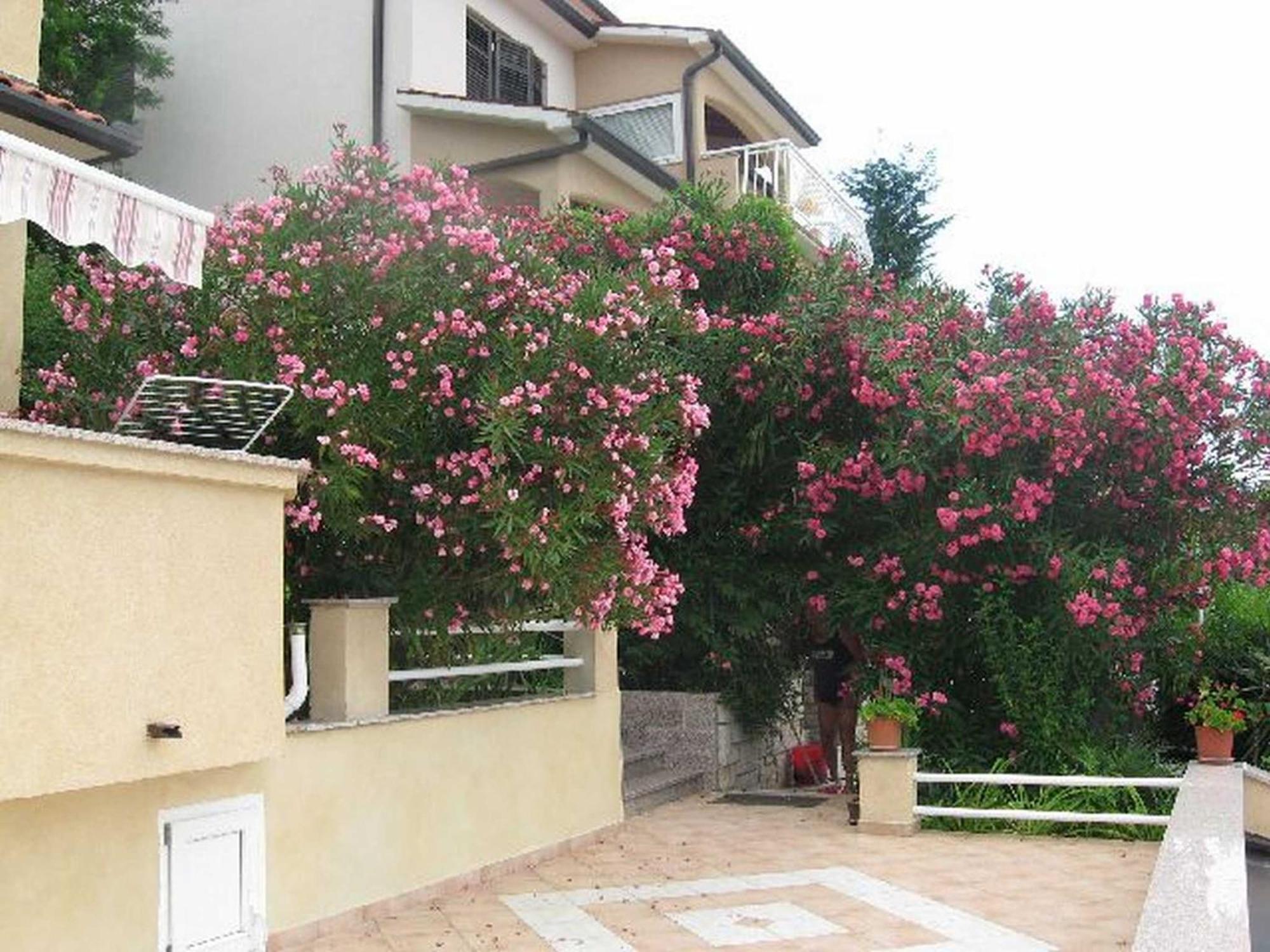 Apartments Silmare 拉巴克 外观 照片