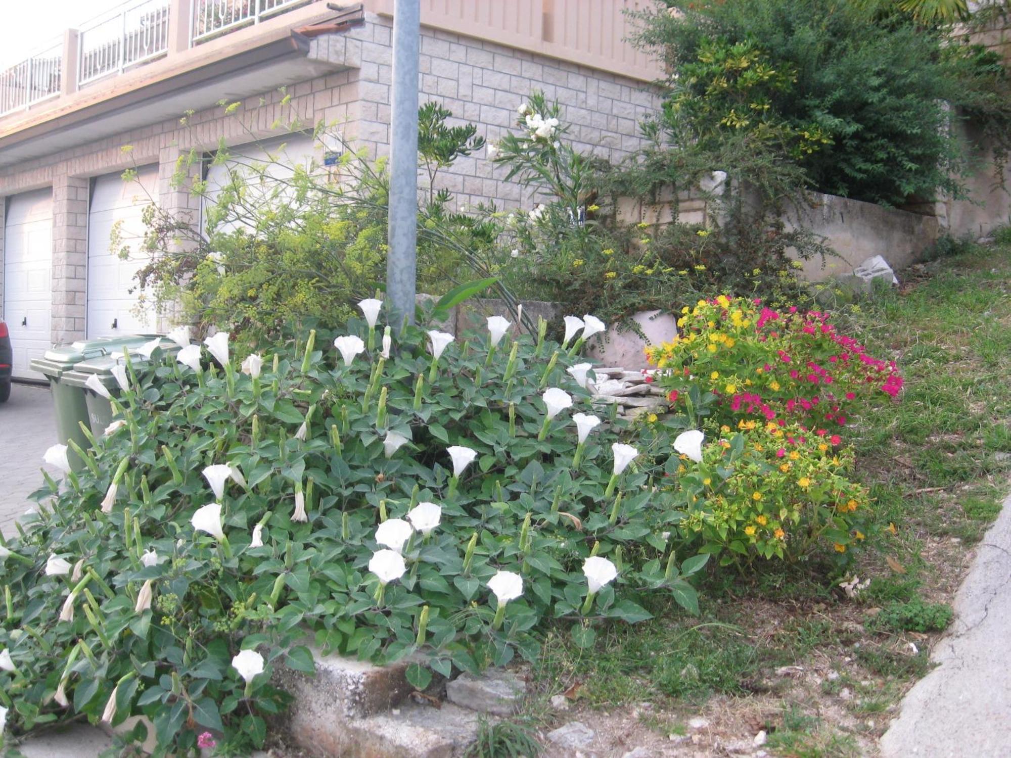 Apartments Silmare 拉巴克 客房 照片
